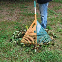 RATEAU A FEUILLES