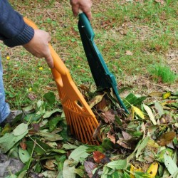 RATEAU A FEUILLES