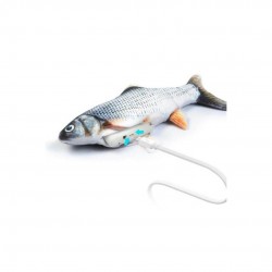 MAGIC FISH